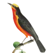 22.png 22.png