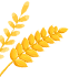 05.png 05.png
